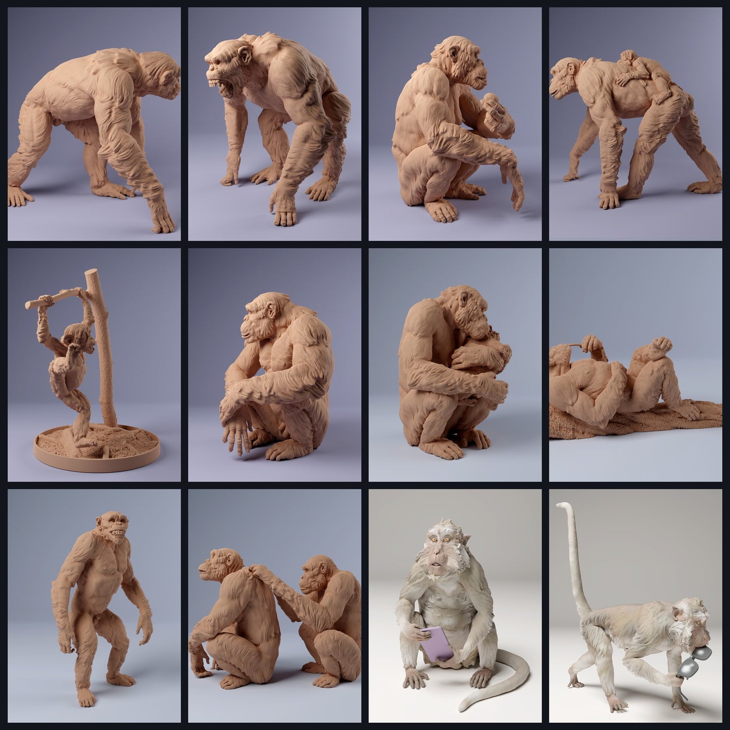 Dit beeld is de categorieafbeelding voor diersoort: Primaten & Halfaap.