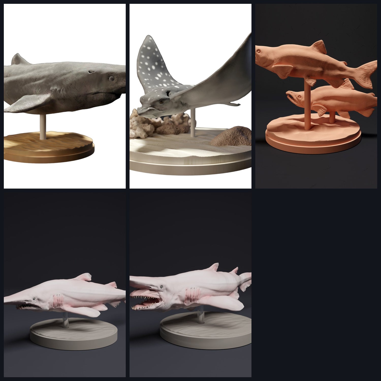 Dit beeld is de categoriefoto voor diersoort: Vissen & Knorpelvissen