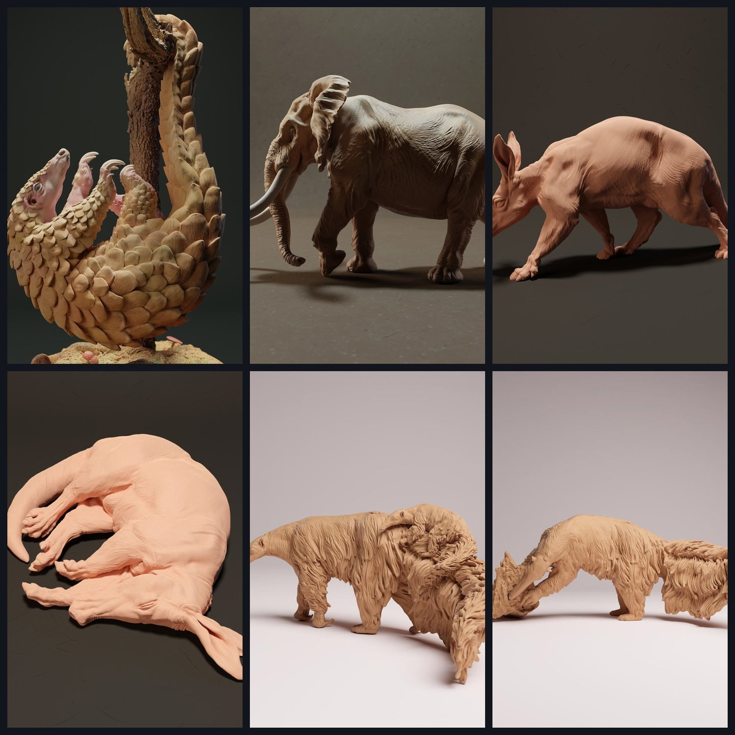 Dit beeld is de categorieafbeelding voor diersoort: Exotische zoogdieren