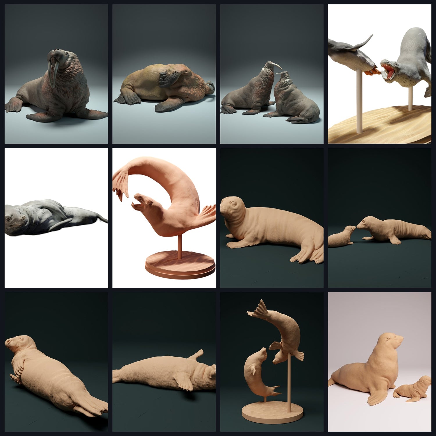 Dit beeld is de categorieafbeelding voor diersoort: zeehonden.