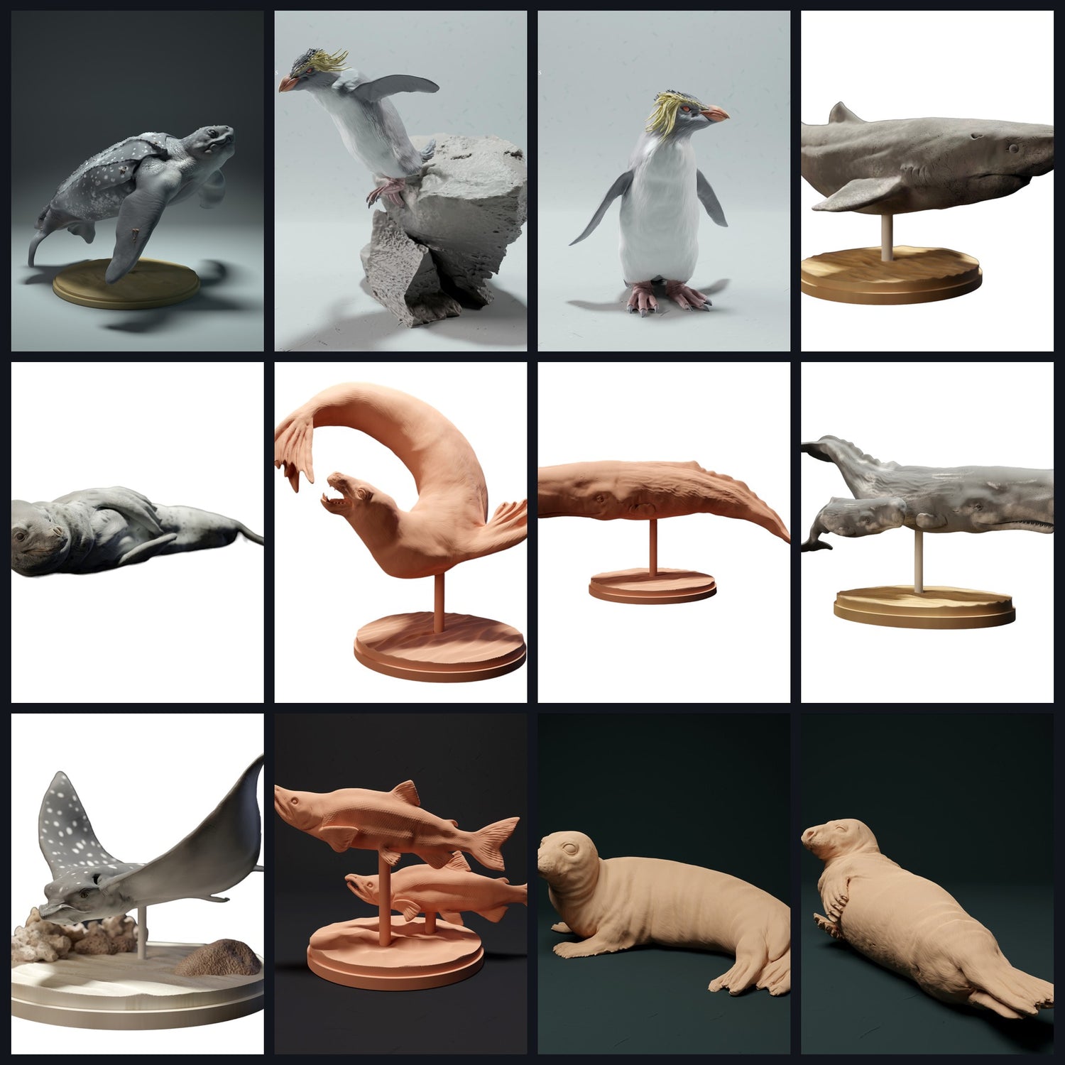 Dit beeld is de categorieafbeelding voor Leefgebied: Open Oceaan