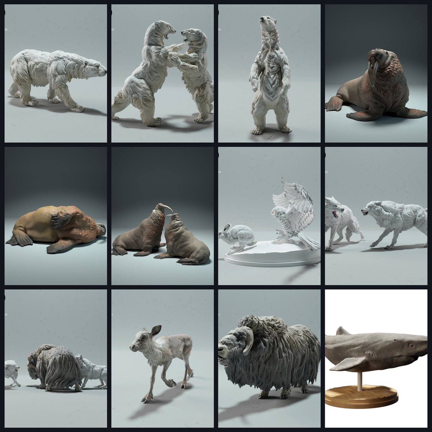 Dit beeld is de categorieafbeelding voor Regio: Arctis