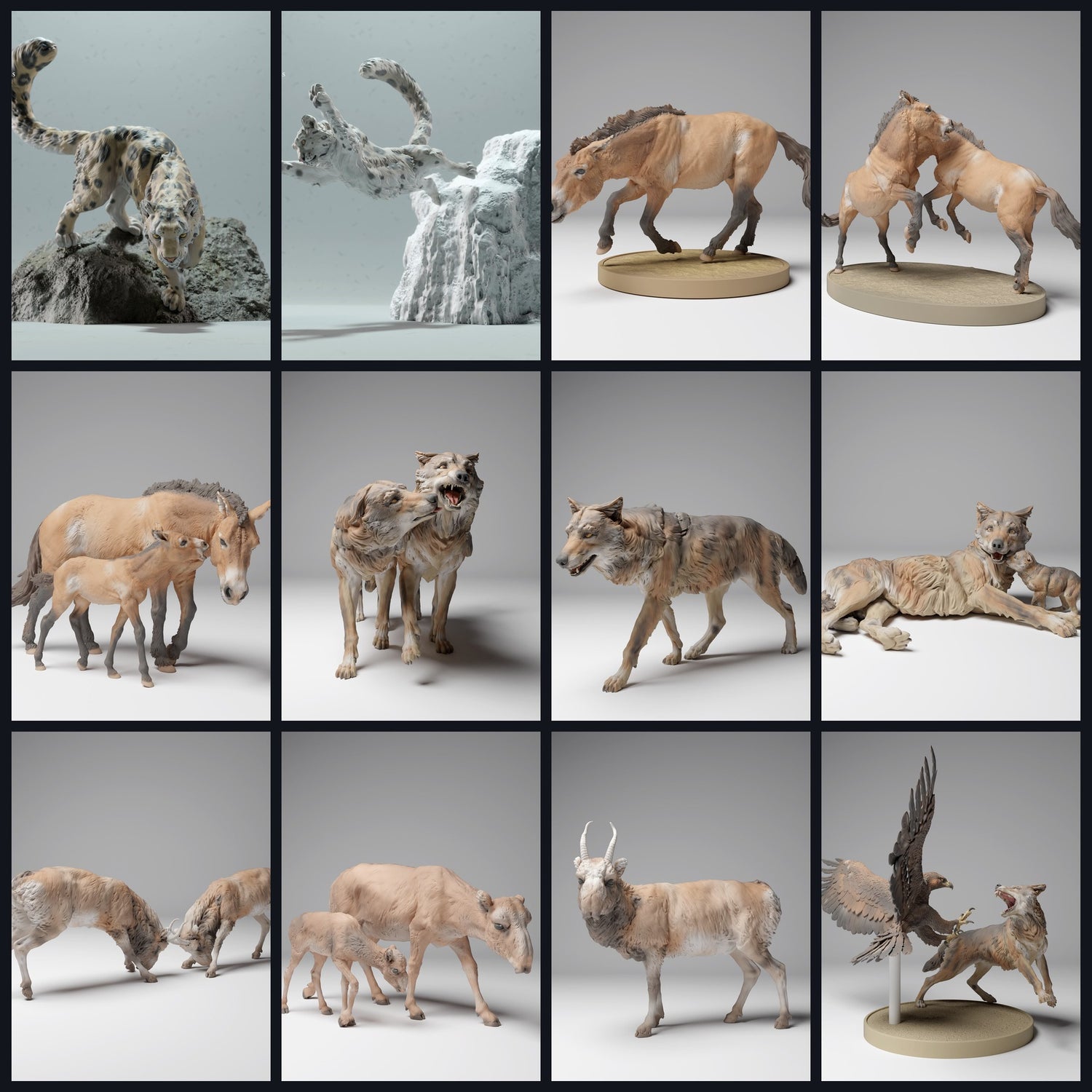 Dit beeld is de categoriefoto voor regio: Centraal-Azië