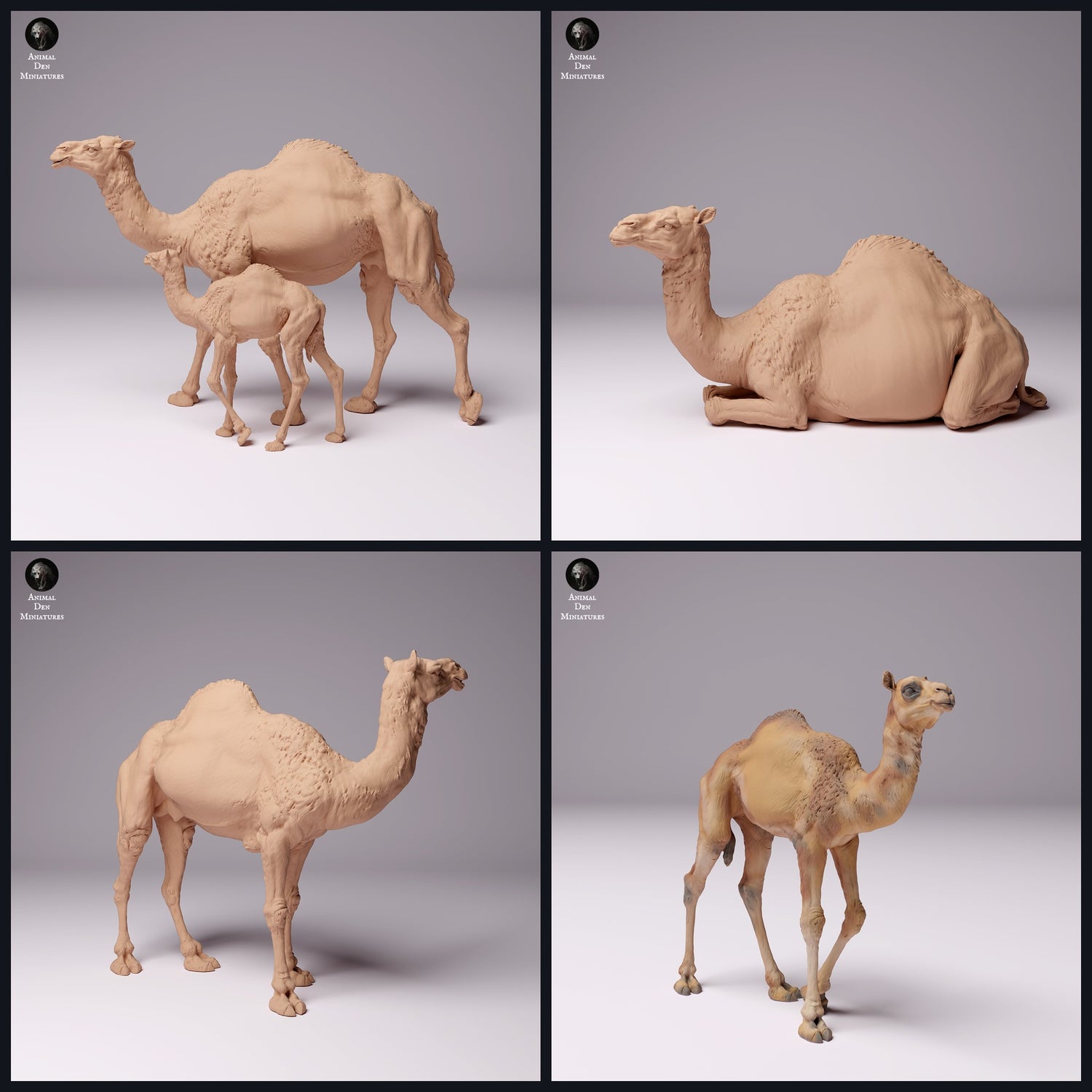 Deze afbeelding is de categoriefoto voor regio: Midden-Oosten