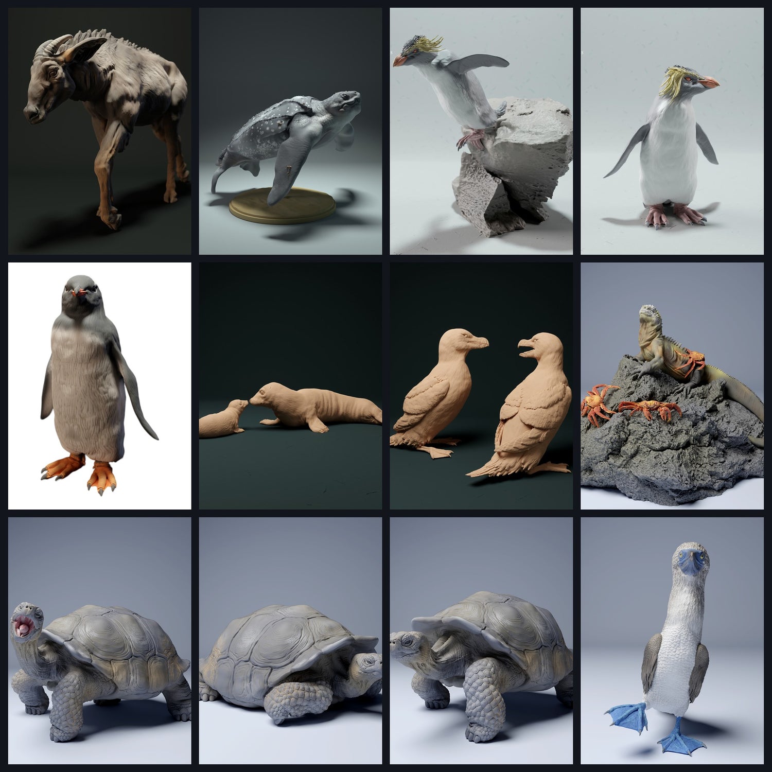 Dit beeld is de categoriefoto voor leefgebied: Eiland/Archipel