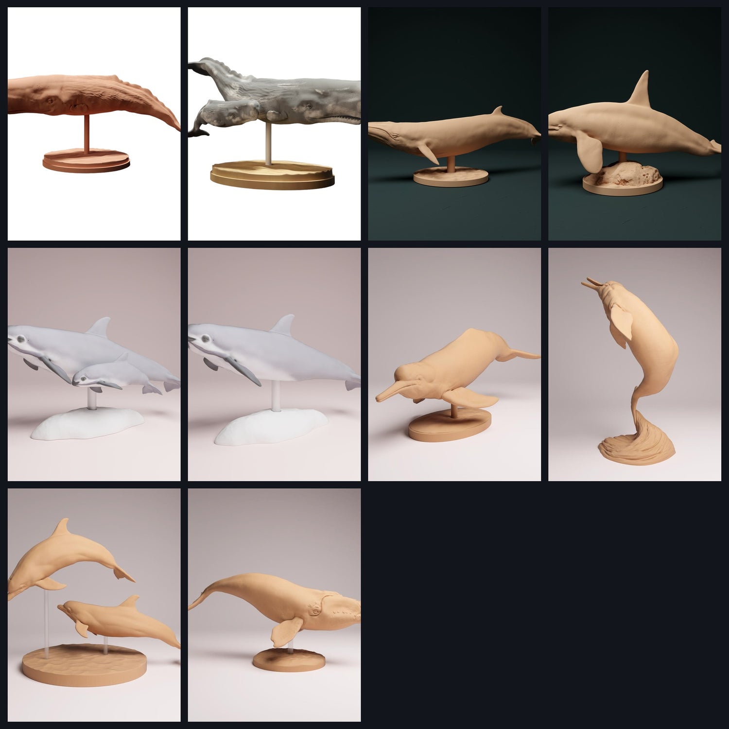 Dit beeld is de categorieafbeelding voor diersoort: Walvissen & Dolfijnen