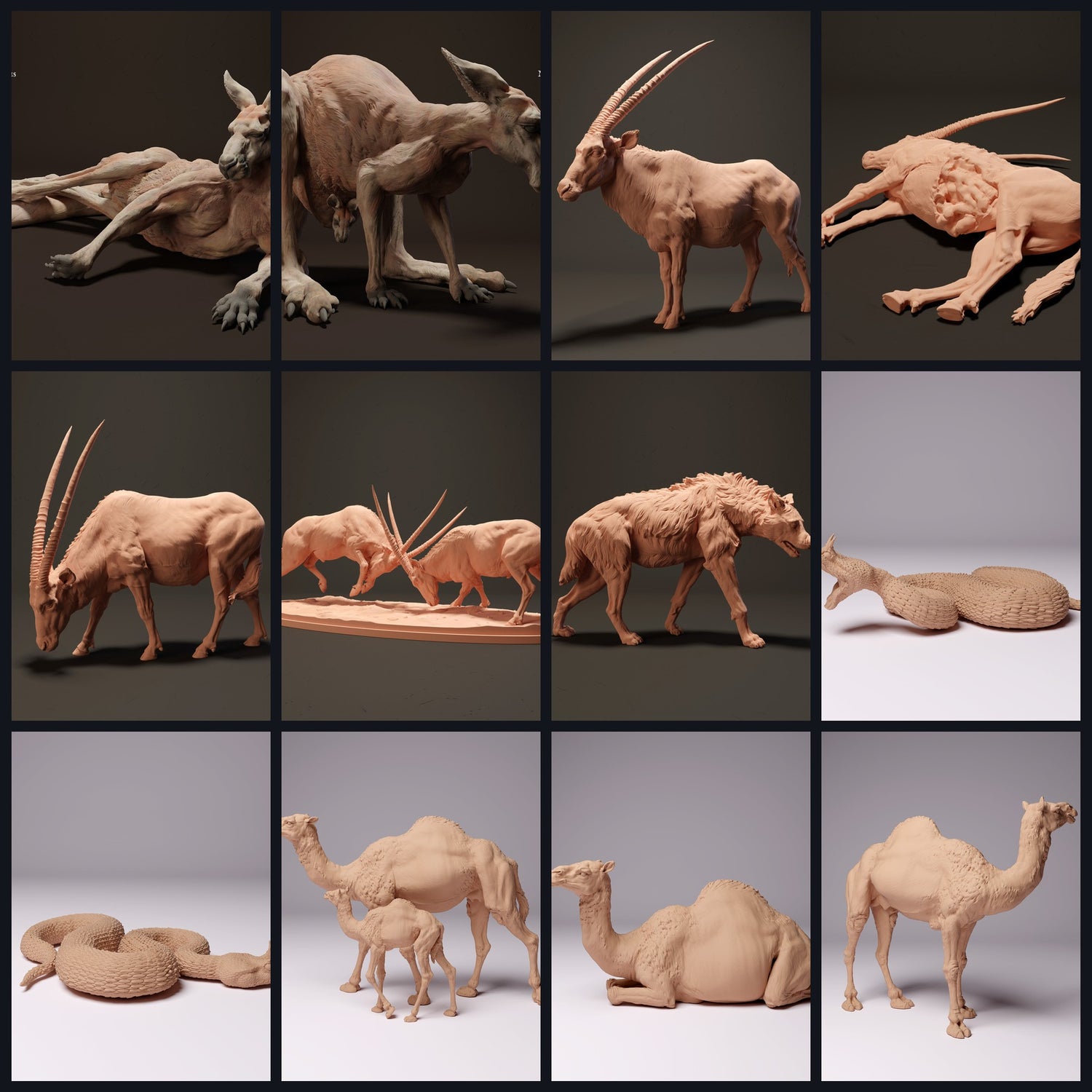 Dit beeld is de categoriefoto voor biotoop: Woestijn/halfwild.