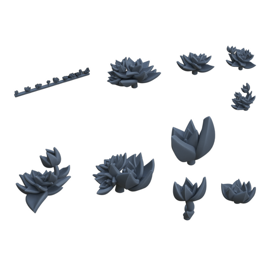 Productfoto diorama en modelbouw decoratie, accessoires: 0: Planten en gewassen: Succulenten