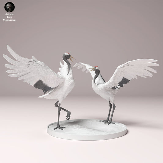Productfoto Dierfiguur Diorama, Modelbouw: 0: Wilde Dierfiguur: dansende Mandarijnkraaien – Rode Kroonkraanvogel (Ref 24_10_01)
