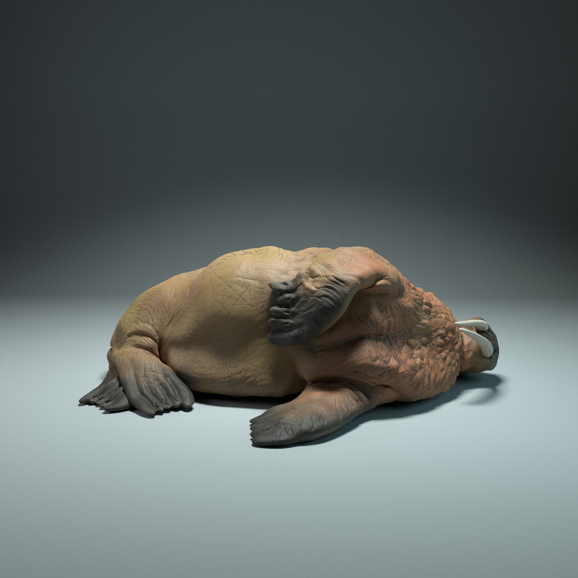 Productfoto Dierfiguur Diorama, Modelbouw: 0: Zeedierfiguur: slapende zeehond (Ref 01_01_49)