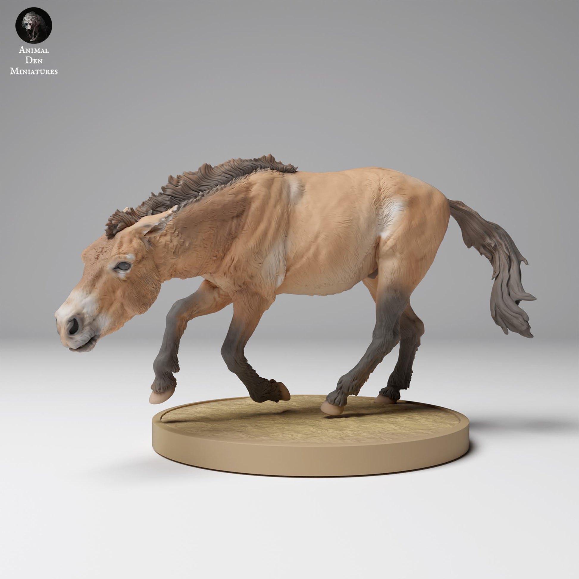 Productfoto Dierfiguur Diorama, Modelbouw: 0: Wilde Dierfiguur: rennend Przewalski-paard (Ref 24_12_01)