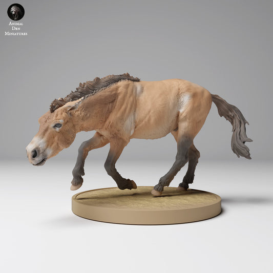 Productfoto Dierfiguur Diorama, Modelbouw: 0: Wilde Dierfiguur: rennend Przewalski-paard (Ref 24_12_01)