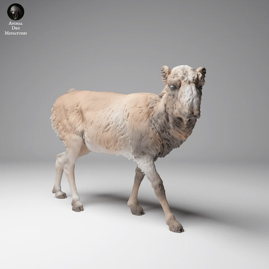 Productfoto Dierfiguur Diorama, Modelbouw: 0: Wilde Dierfiguur: Mongoolse Saiga Antilope – Vrouw in Wintervacht (Ref 24_12_14)