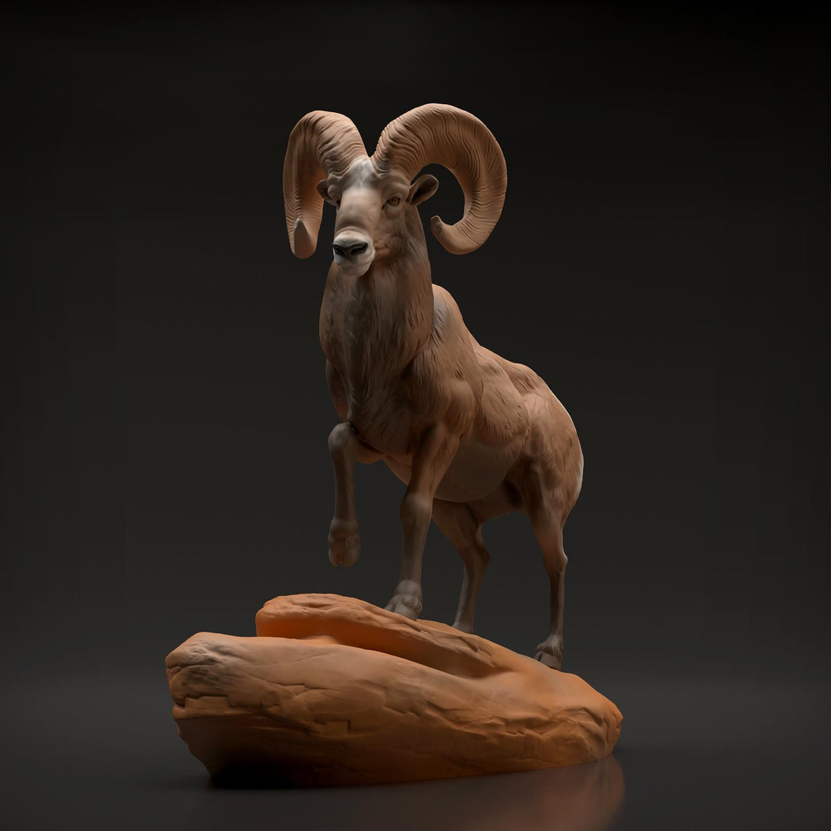 Productfoto Dier Figuur Diorama, Modelbouw: 0: Wilde Dier Figuur: Dikkopram Widder (Ref 01_01_89)