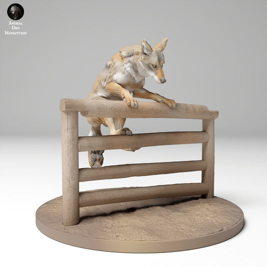 Productfoto Dierfiguur Diorama, Modelbouw: 0: Wilde Dierfiguur: springende coyote over hek (Ref 24_11_07)