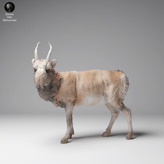 Productfoto Dierfiguur Diorama, Modelbouw: 0: Wilde Dierfiguur: Mongoolse Saiga Antilope – Mannetje (Ref 24_12_10)
