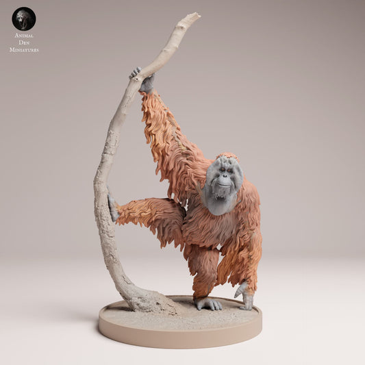 Productfoto Dier Figuur Diorama, Modelbouw: 0: Jungle Dier Figuur: Sumatra Orang-oetan (Ref 25_03_09)
