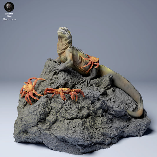 Productfoto Dierfiguur Diorama, Modelbouw: 0: Zeedierfiguur: Zeereptiel met Sally Lightfoot Krabben (Ref 24_08_01)