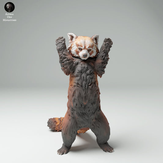 Productfoto Dierfiguur Diorama, Modelbouw: 0: Wilde Dierfiguur: Rode Panda – Ailurus fulgens (Ref 25_02_01)