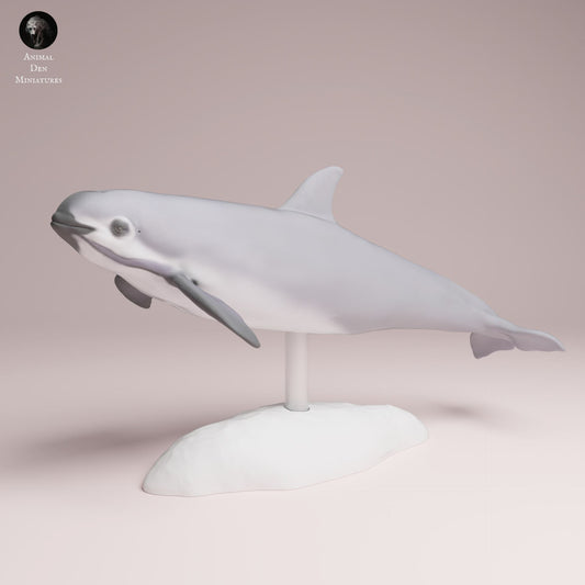 Productfoto Dierfiguur Diorama, Modelbouw: 0: Zeedierfiguur: Vaquita – Dolfijn (Ref 25_07_05)