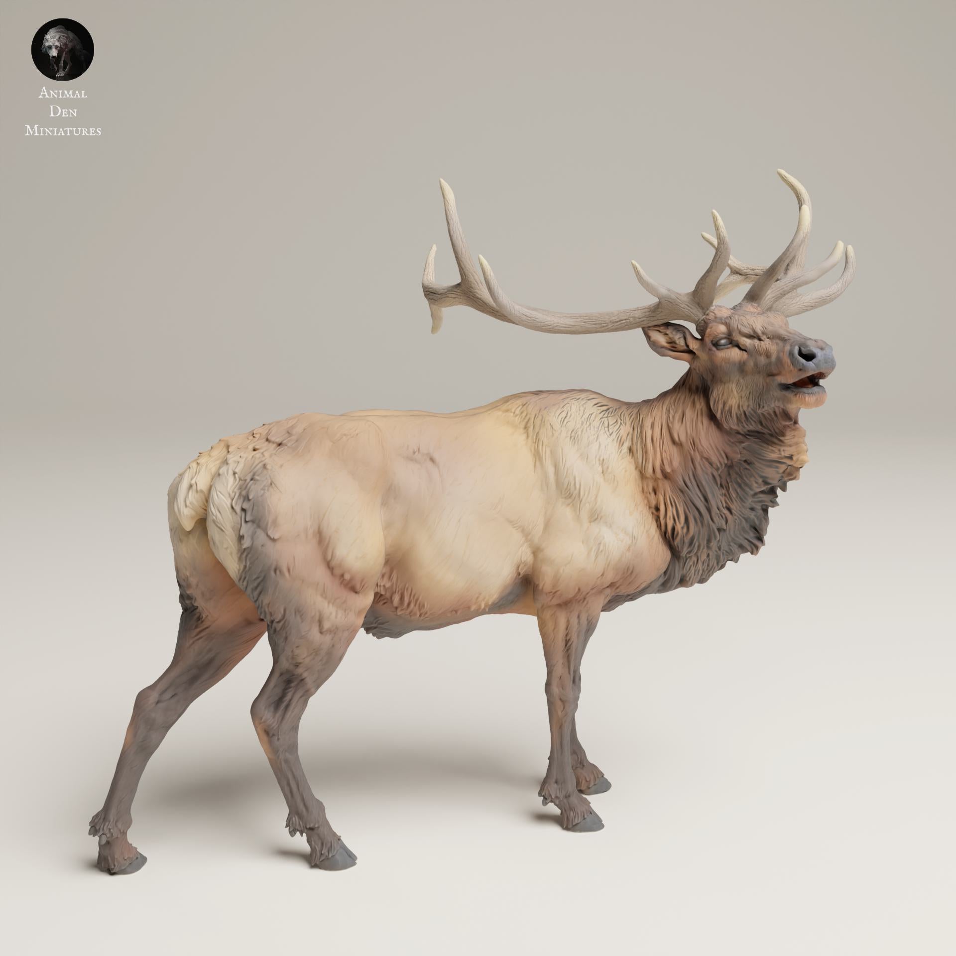 Productfoto Dierfiguur Diorama, Modelbouw: 0: Wilde Dierfiguur: Buglender Wapiti – Rocky Mountain (Ref 25_06_04)