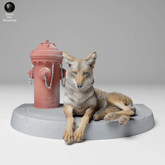 Productfoto Dierfiguur Diorama, Modelbouw: 0: Wilde Dierfiguur: Liggende Coyote (Ref 24_11_01)