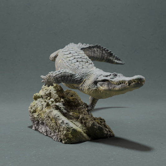 Productfoto Dierfiguur Diorama, Modelbouw: 0: Wilde Dierfiguur: zwemmende Amerikaanse Alligator (Ref 01_01_44)