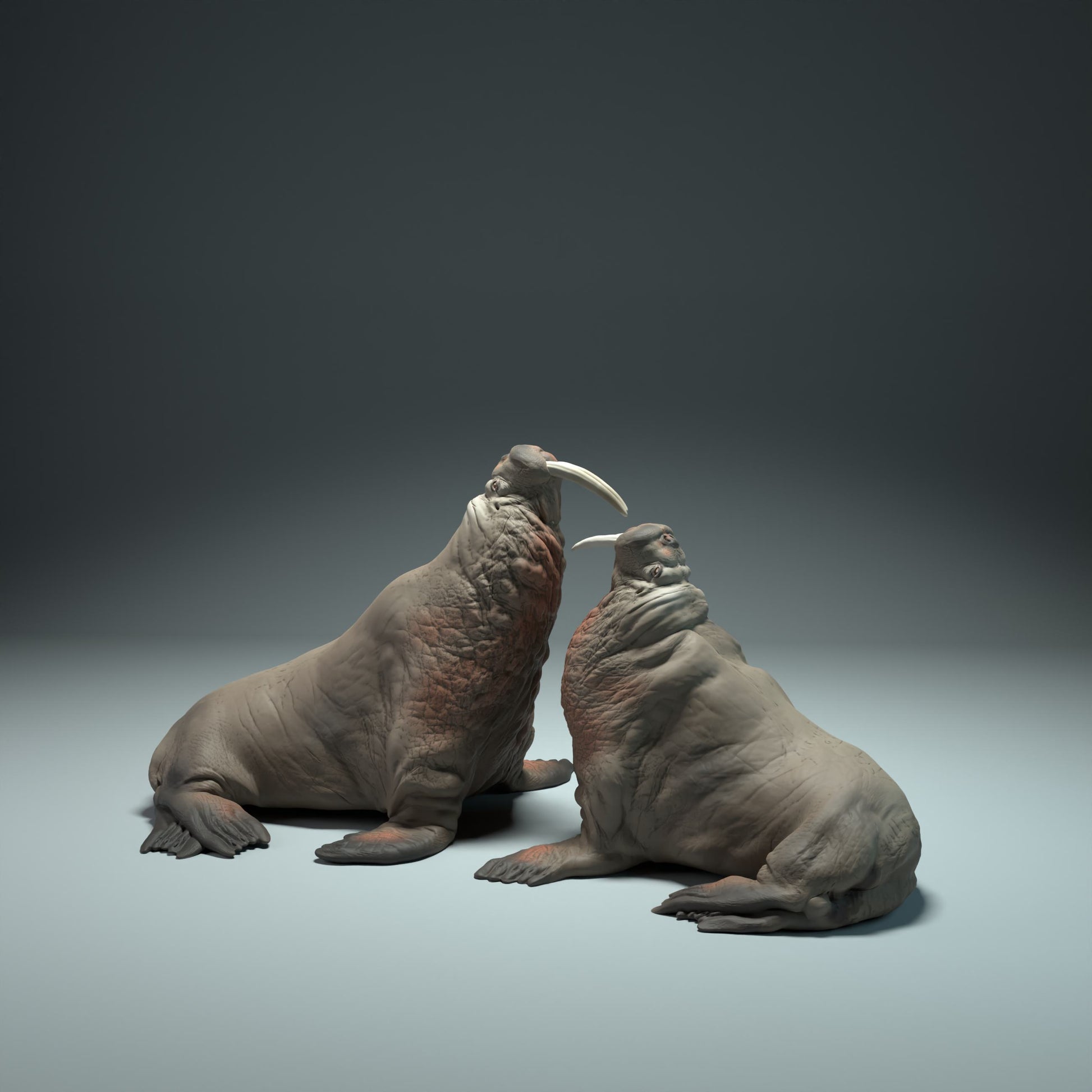 Productfoto Dierfiguur Diorama, Modelbouw: 0: Zeedierfiguur: vechtende walrussen (Ref 01_01_50)