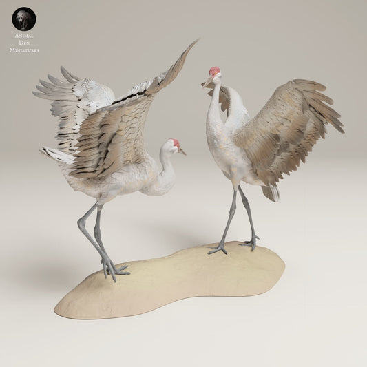 Productfoto Dierfiguur Diorama, Modelbouw: 0: Wilde Dierfiguur: Dansende Canadese Kraanvogels – Grote Sandhill Kraanvogels (Ref 25_06_10)