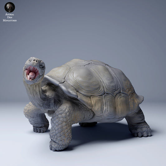 Productfoto Dierfiguur Diorama, Modelbouw: 0: Jungle Dierfiguur: etende Galápagos-reuzenschildpad (Ref 24_08_03)