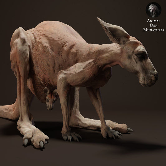 Productfoto Dierfiguur Diorama, Modelbouw: 0: Wilde Dierfiguur: Rode Kangoeroe Vrouw (Ref 01_01_08)