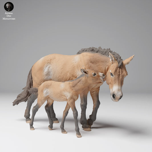 Productfoto Dierfiguur Diorama, Modelbouw: 0: Wilde Dierfiguur: Przewalski-paard met veulen (Ref 24_12_03)