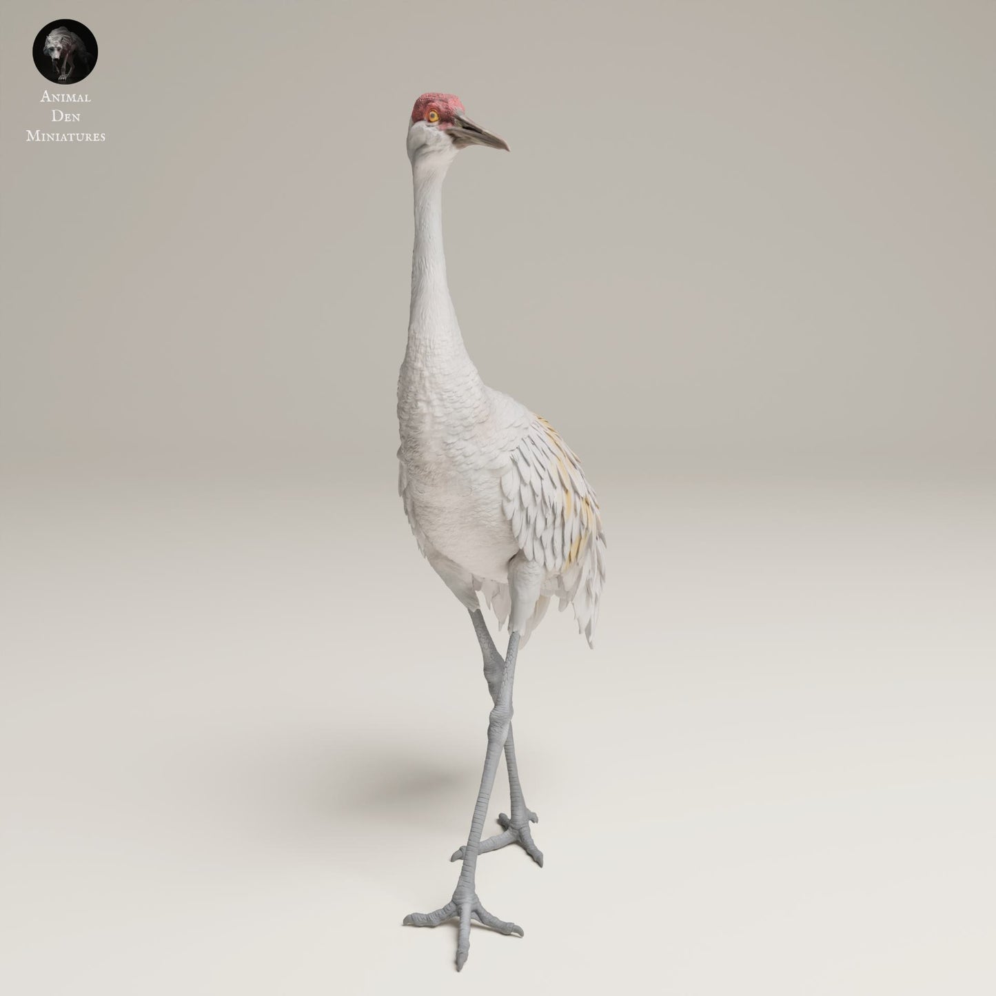 Productfoto Dierfiguur Diorama, Modelbouw: 0: Wilde Dierfiguur: Grote Canadese Kraanvogel – Greater Sandhill Crane (Ref 25_06_11)