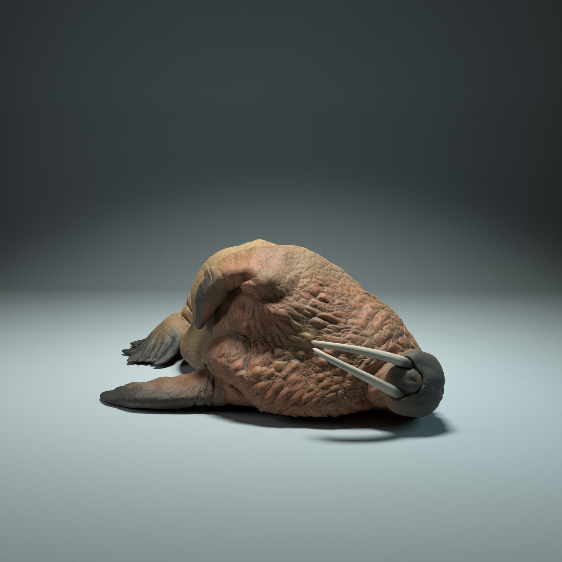 Productfoto Dierfiguur Diorama, Modelbouw: 0: Zeedierfiguur: slapende zeehond (Ref 01_01_49)