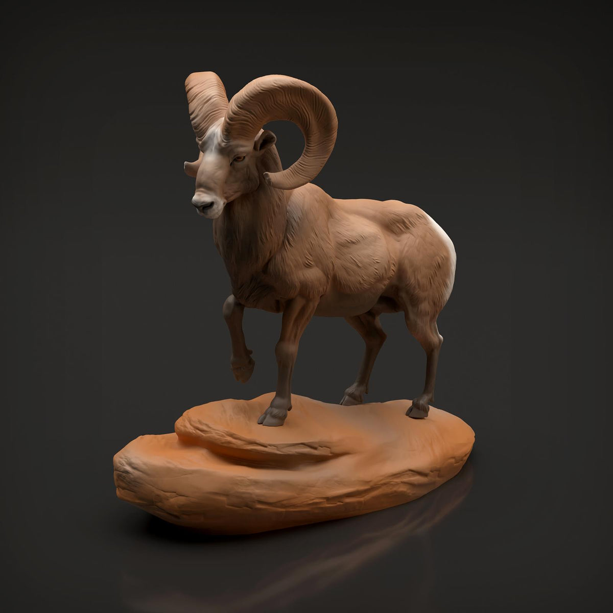 Productfoto Dier Figuur Diorama, Modelbouw: 0: Wilde Dier Figuur: Dikkopram Widder (Ref 01_01_89)