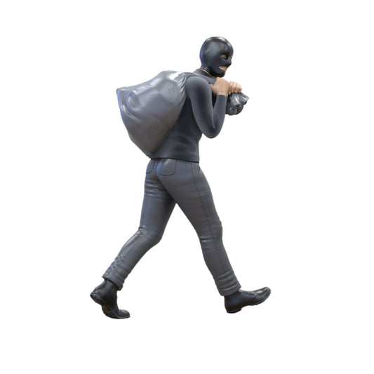 Productfoto 0: Vluchtige Dief na Inbraak