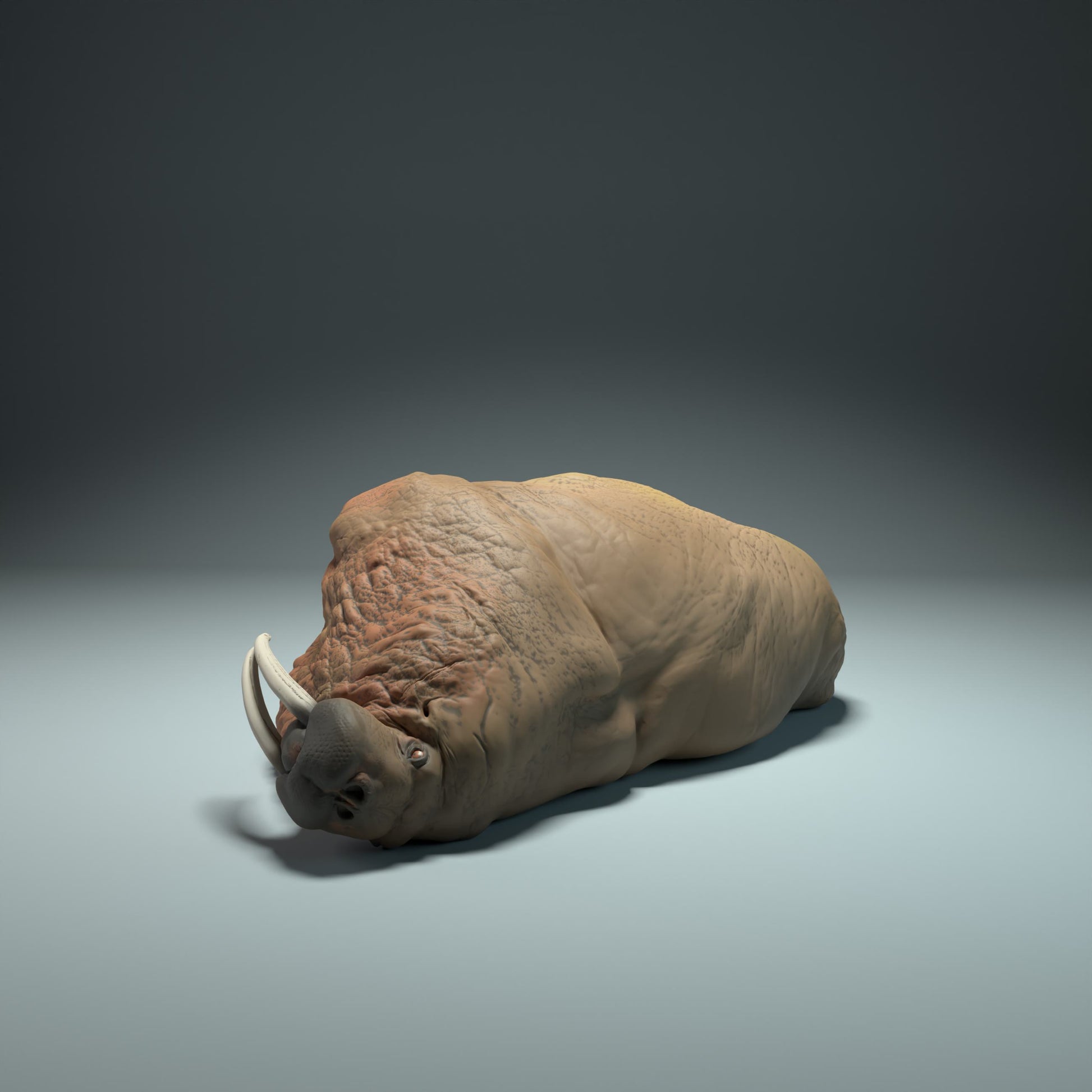 Productfoto Dierfiguur Diorama, Modelbouw: 0: Zeedierfiguur: slapende zeehond (Ref 01_01_49)