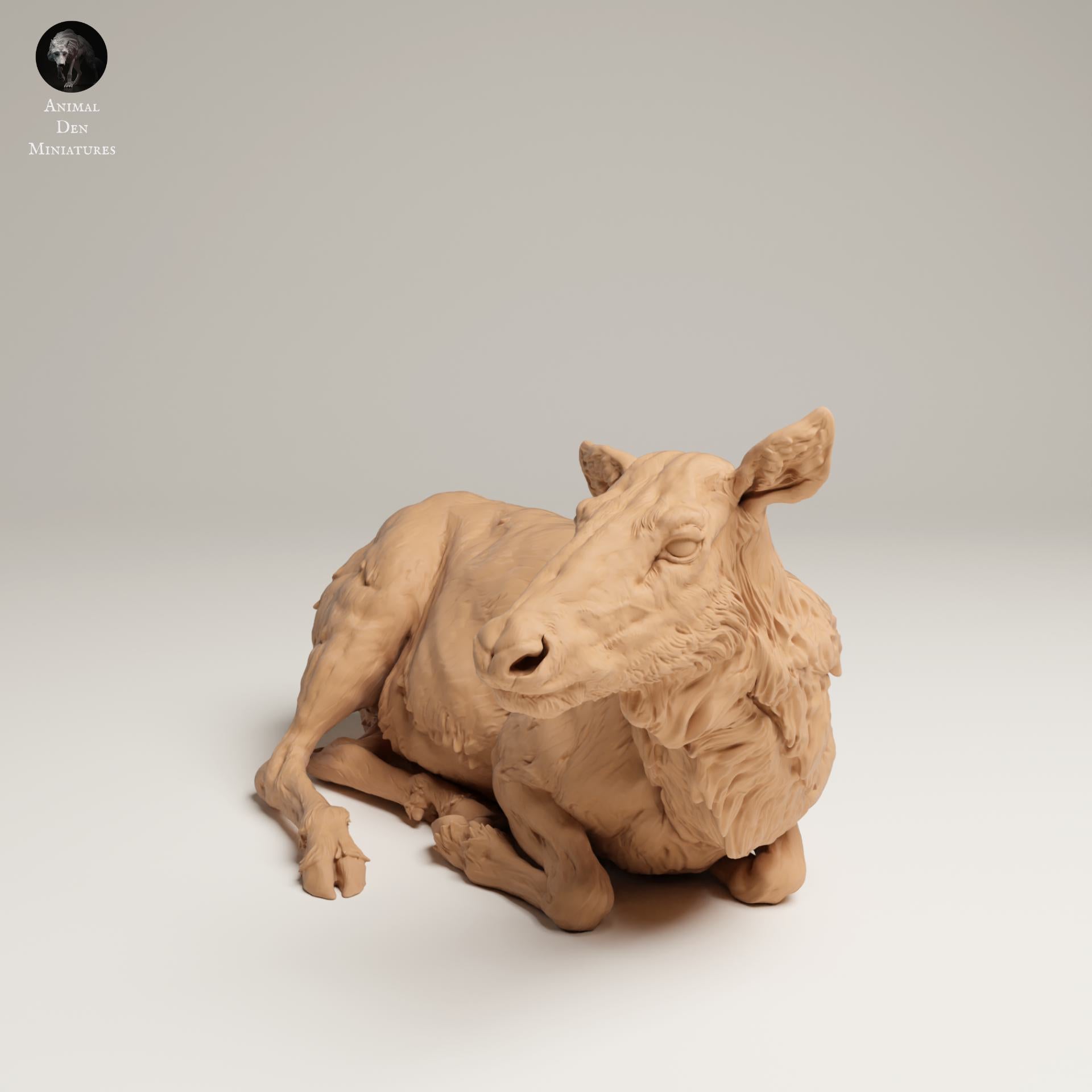 Productfoto Dierfiguur Diorama, Modelbouw: 0: Wilde Dierfiguur: Liggende Elchkoe – Rocky Mountain (Ref 25_06_14)