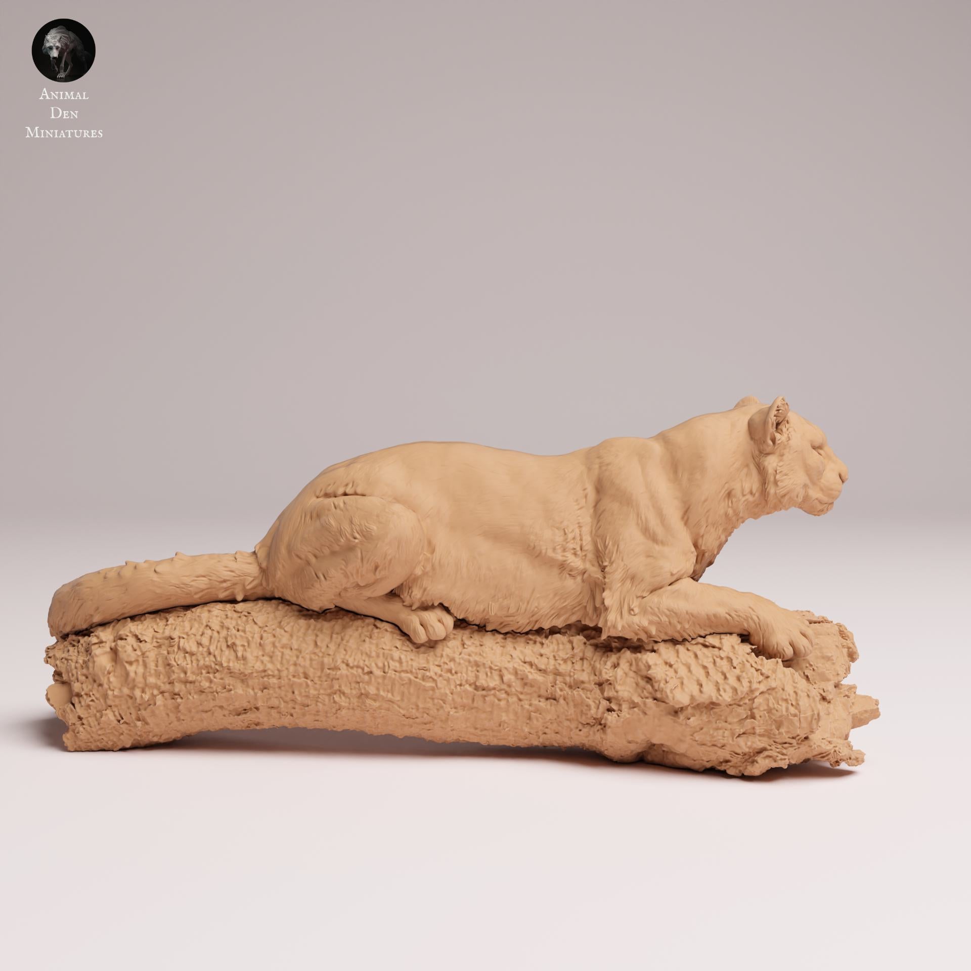 Productfoto Dierfiguur Diorama, Modelbouw: 0: Wilde Dierfiguur: Amur Luipaard op Boom – Dierminiatuur voor Diorama's (Ref 25_07_13)