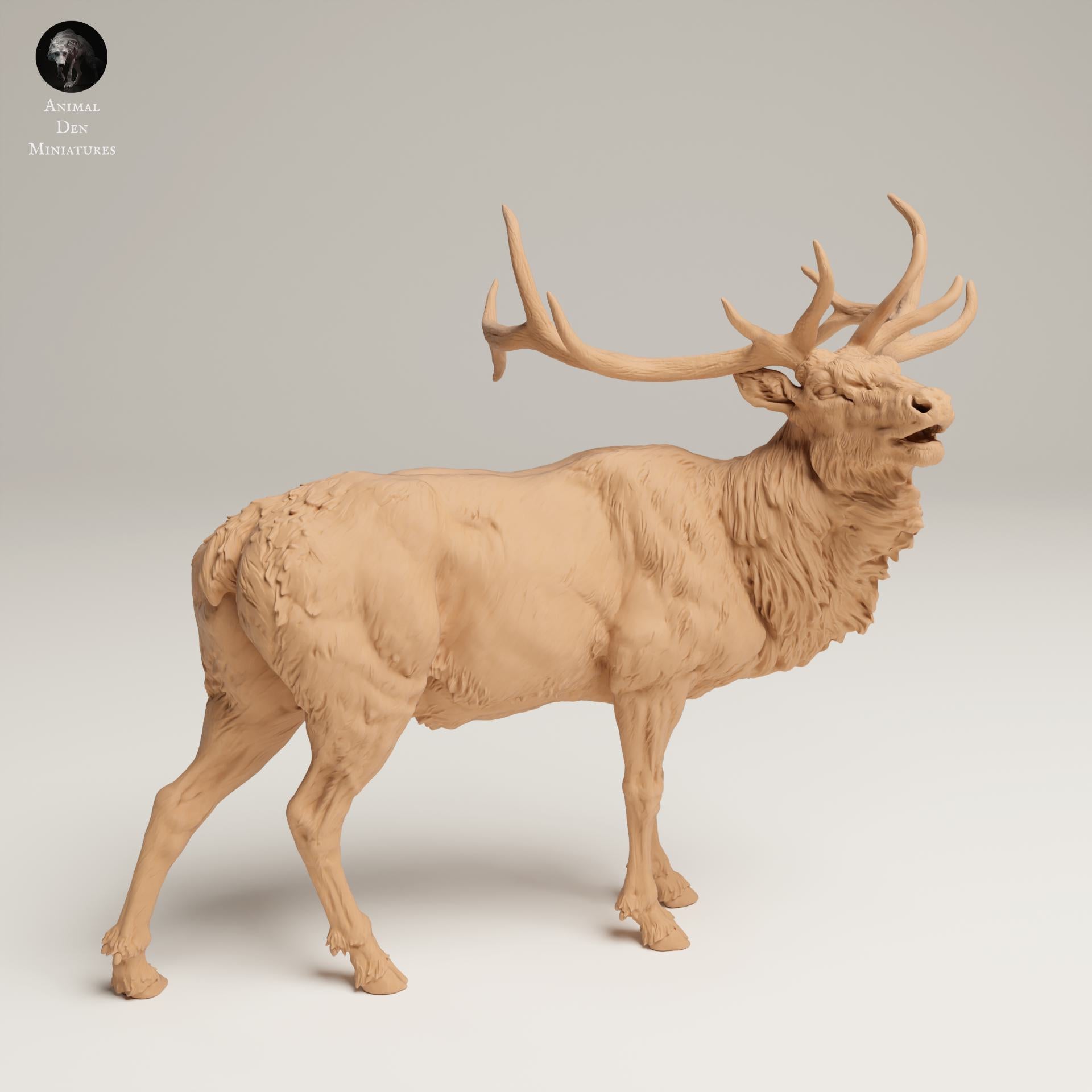 Productfoto Dierfiguur Diorama, Modelbouw: 0: Wilde Dierfiguur: Buglender Wapiti – Rocky Mountain (Ref 25_06_04)
