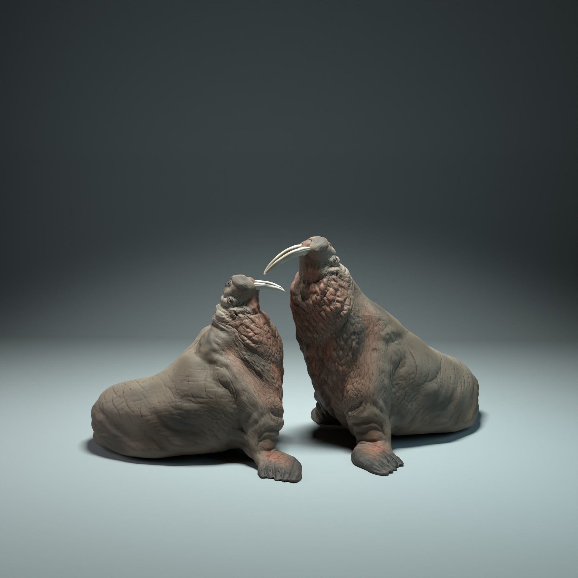 Productfoto Dierfiguur Diorama, Modelbouw: 0: Zeedierfiguur: vechtende walrussen (Ref 01_01_50)