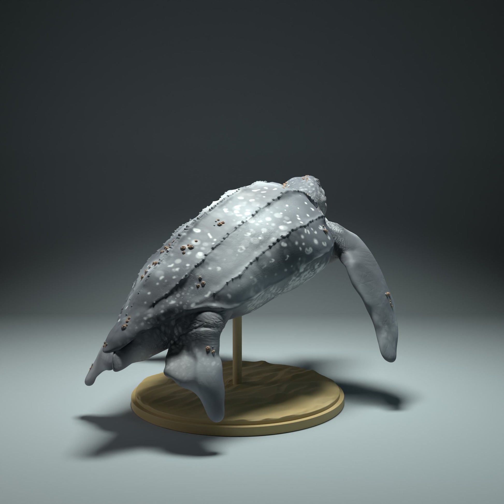 Productfoto Dier Figur Diorama, Modelbouw: 0: Zeedier Figur: zwemmende Lederschildpad (Ref 01_01_32)