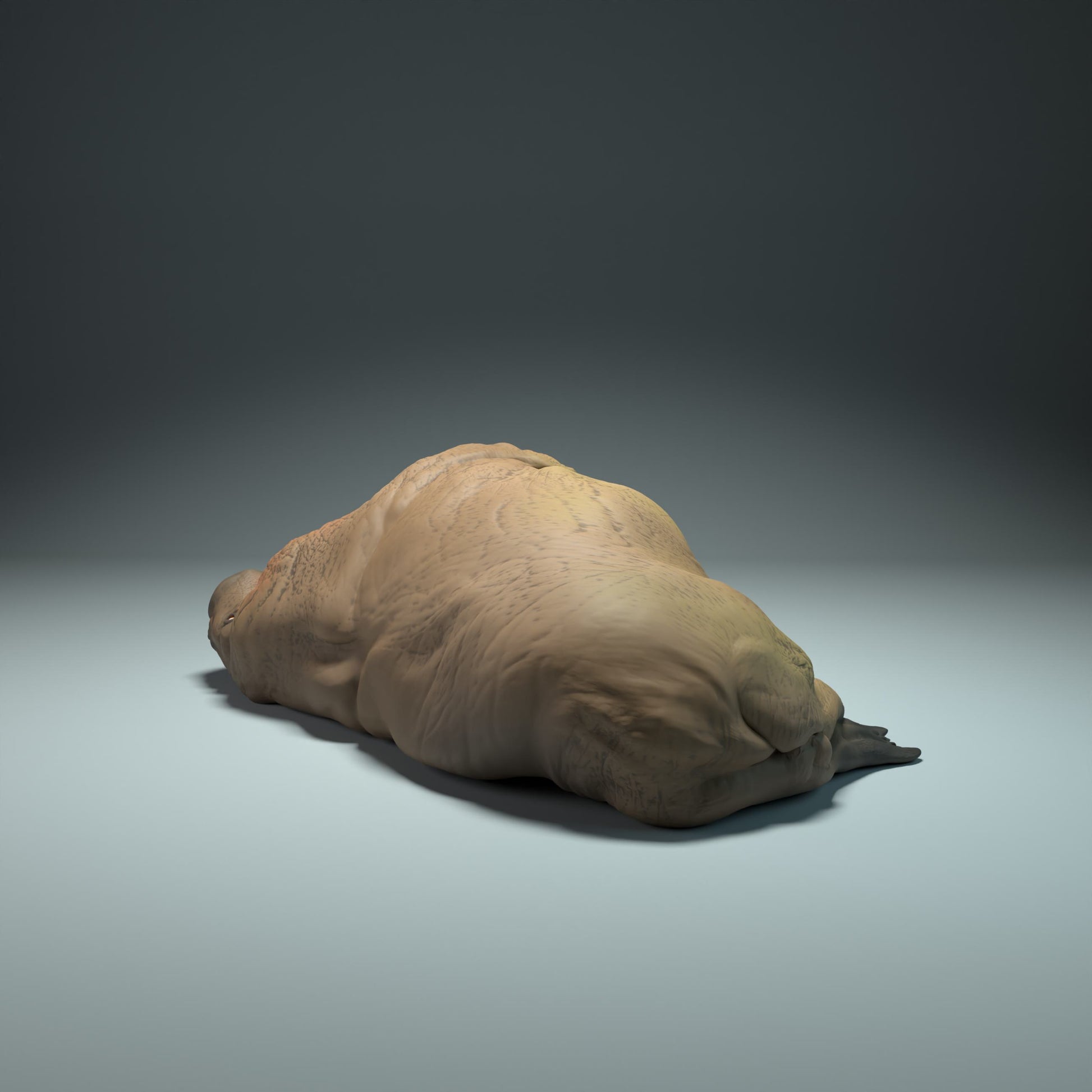 Productfoto Dierfiguur Diorama, Modelbouw: 0: Zeedierfiguur: slapende zeehond (Ref 01_01_49)