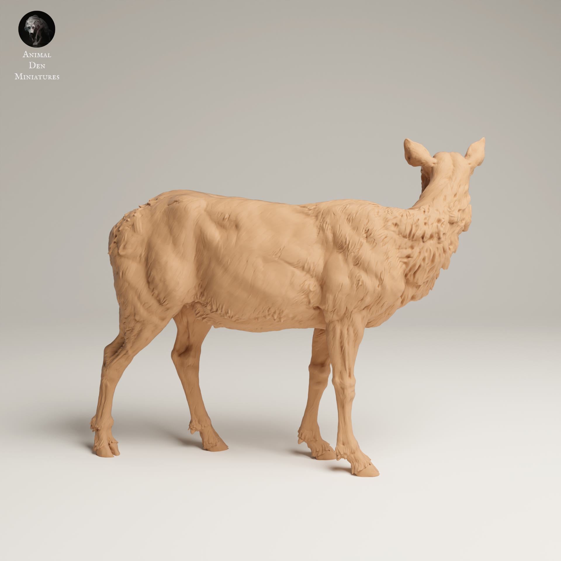 Productfoto Dierfiguur Diorama, Modelbouw: 0: Wilde Dierfiguur: Rocky Mountain Wapiti-Koe (Ref 25_06_02)
