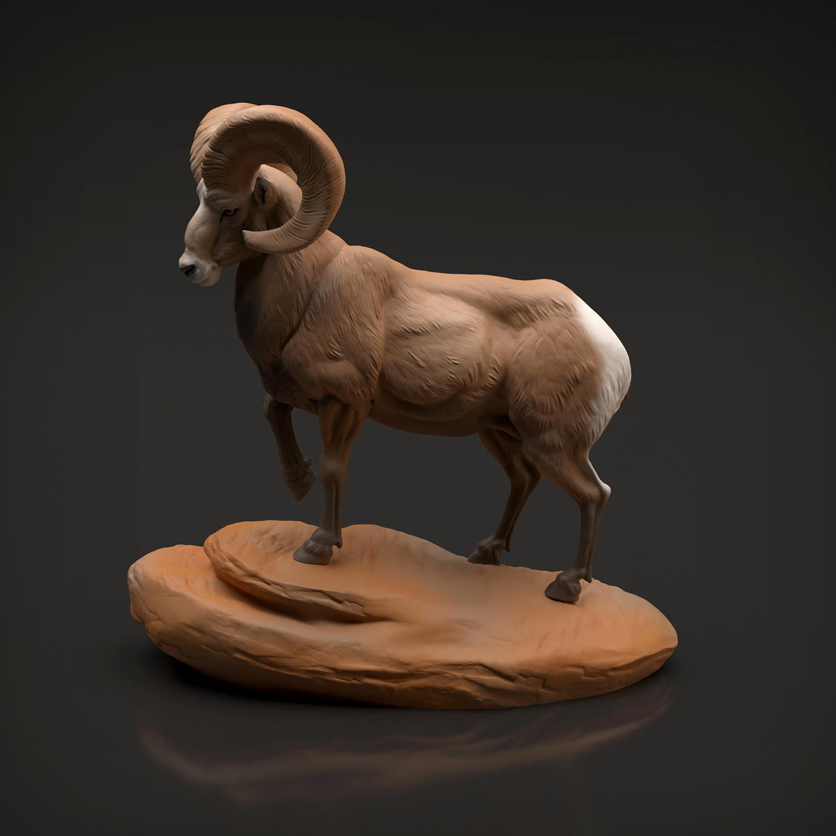 Productfoto Dier Figuur Diorama, Modelbouw: 0: Wilde Dier Figuur: Dikkopram Widder (Ref 01_01_89)