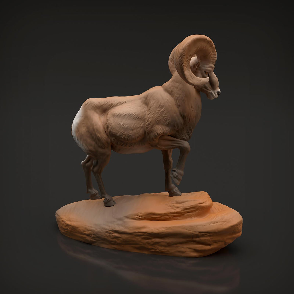 Productfoto Dier Figuur Diorama, Modelbouw: 0: Wilde Dier Figuur: Dikkopram Widder (Ref 01_01_89)