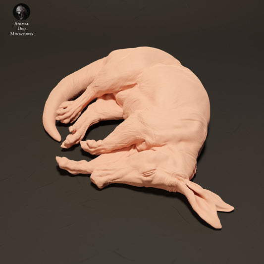 Productfoto Dier Figur Diorama, Modelbouw: 0: Aardvark slapend: Dieren uit Afrika