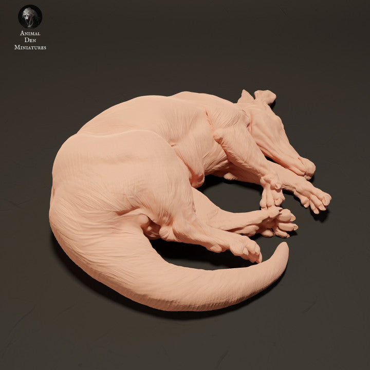 Productfoto Dier Figur Diorama, Modelbouw: 0: Aardvark slapend: Dieren uit Afrika