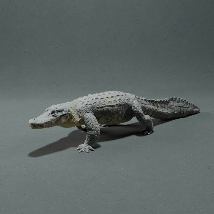 Productfoto dierenfiguur Animal Den Miniatures 3: moerasdier dierenfiguur: Mississippi-alligator (22_10_12)