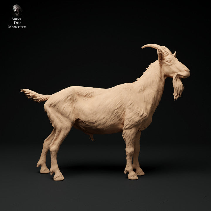 Productfoto Dier Figuur Diorama, Modelbouw: 0: Alpen Geitbok